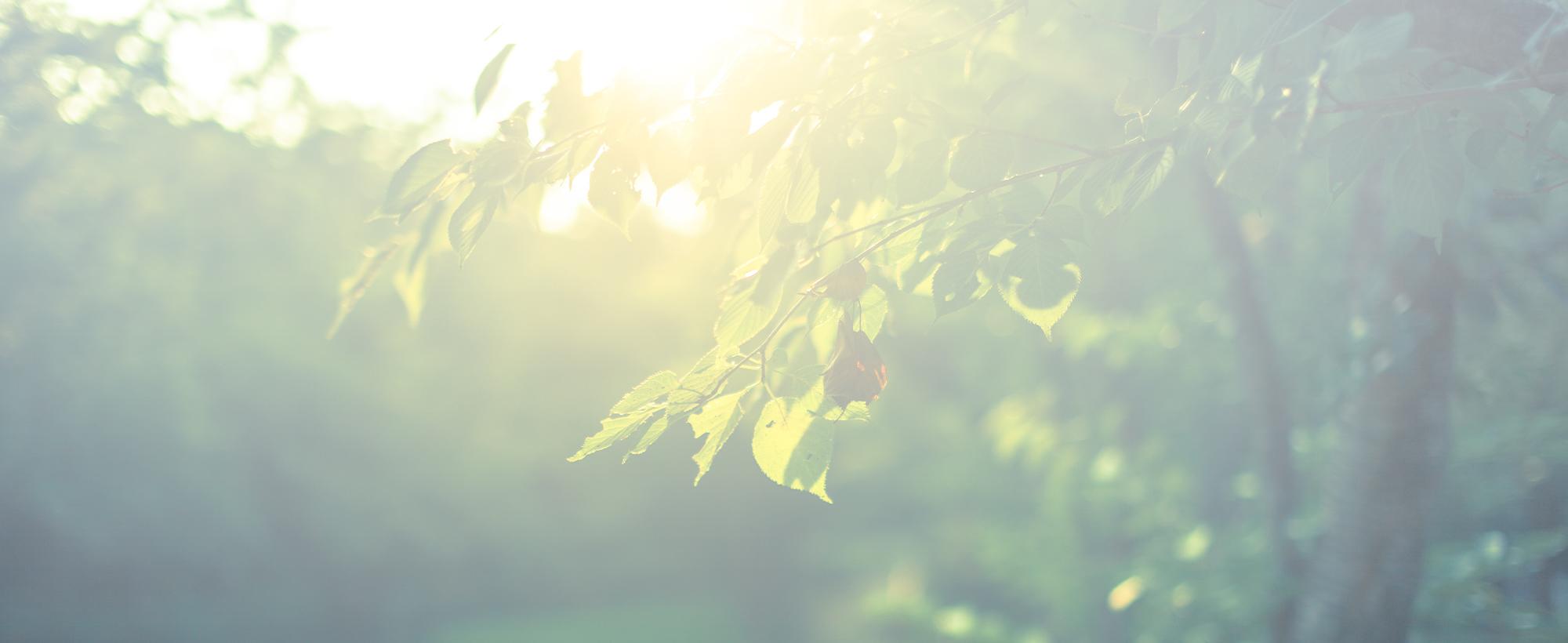 本来の自分に出逢いませんか?