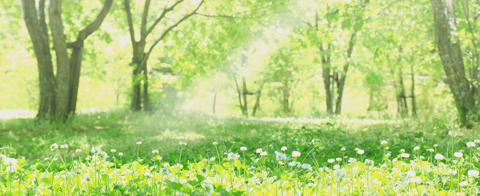 本来の自分に出逢いませんか?