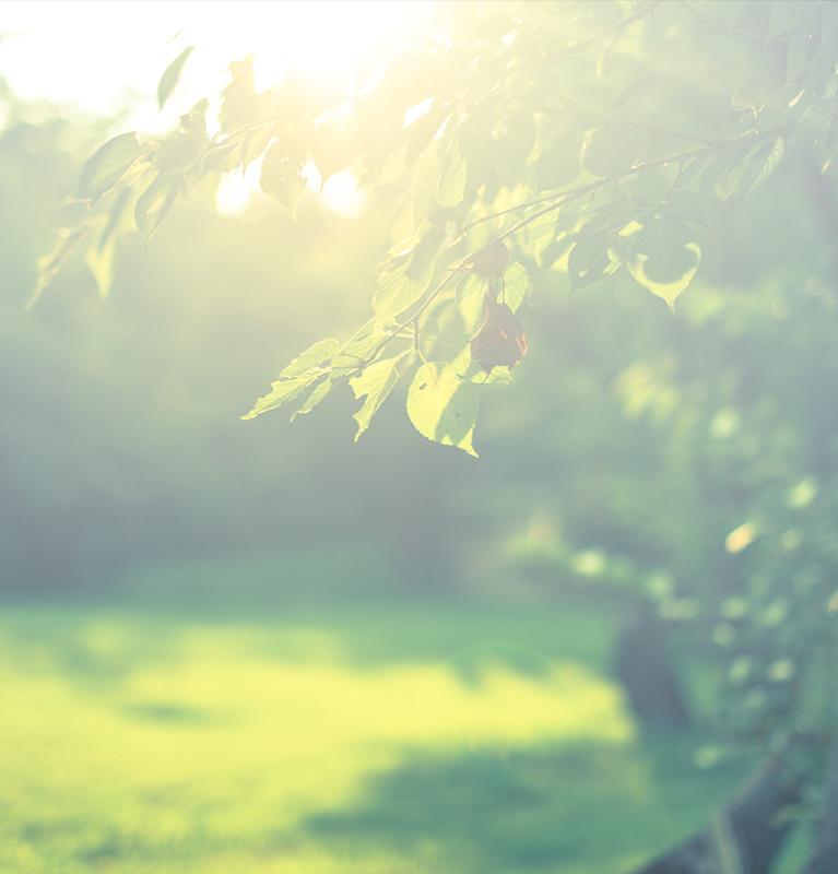 本来の自分に出逢いませんか?