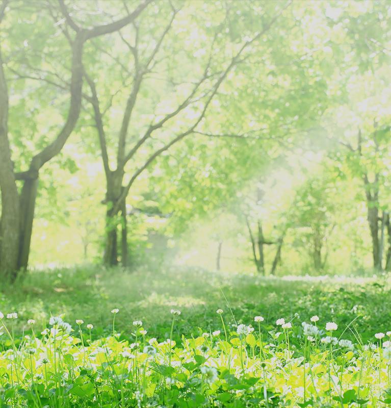 本来の自分に出逢いませんか?